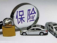 粤港直通车、保险、驾照、商务签